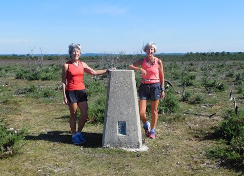 2020 trig